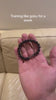 1.mp4